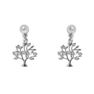 Boucles d'oreilles argent + oz